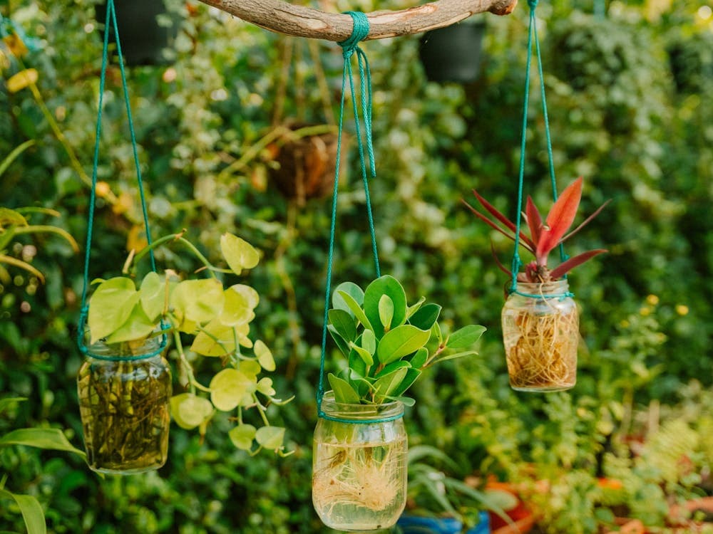 Garden Bar