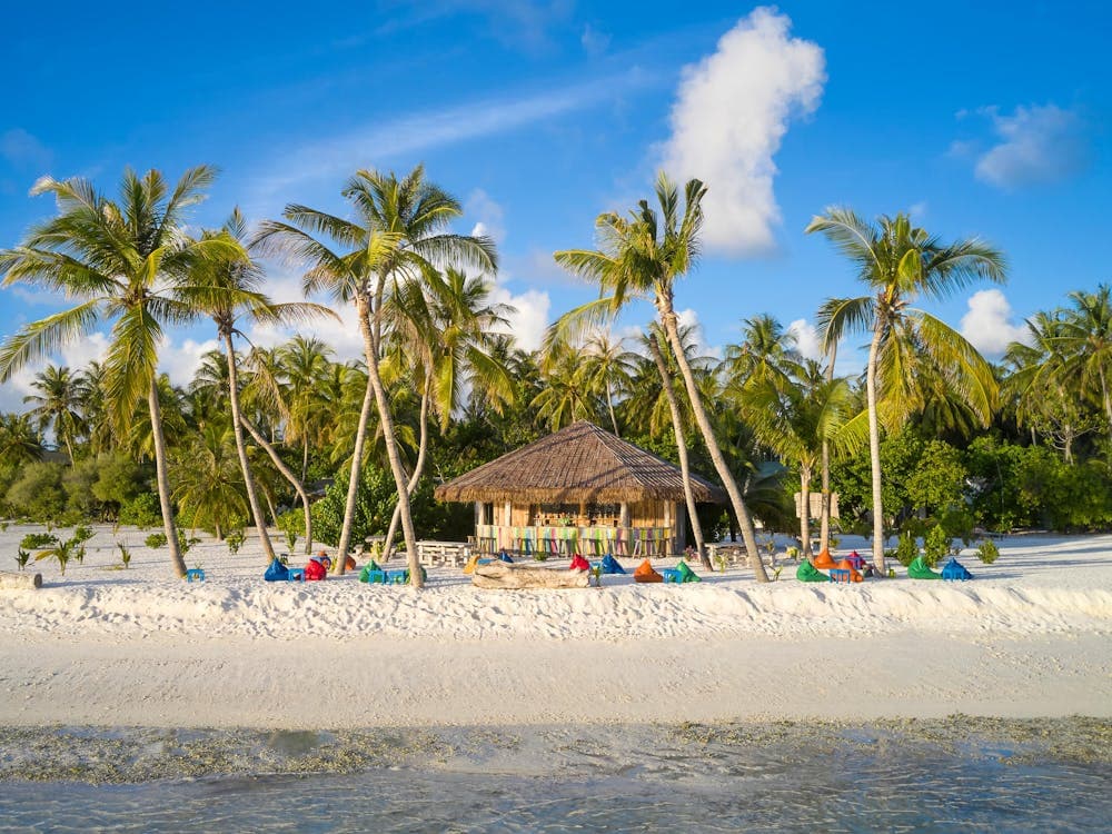 La Tropicana
